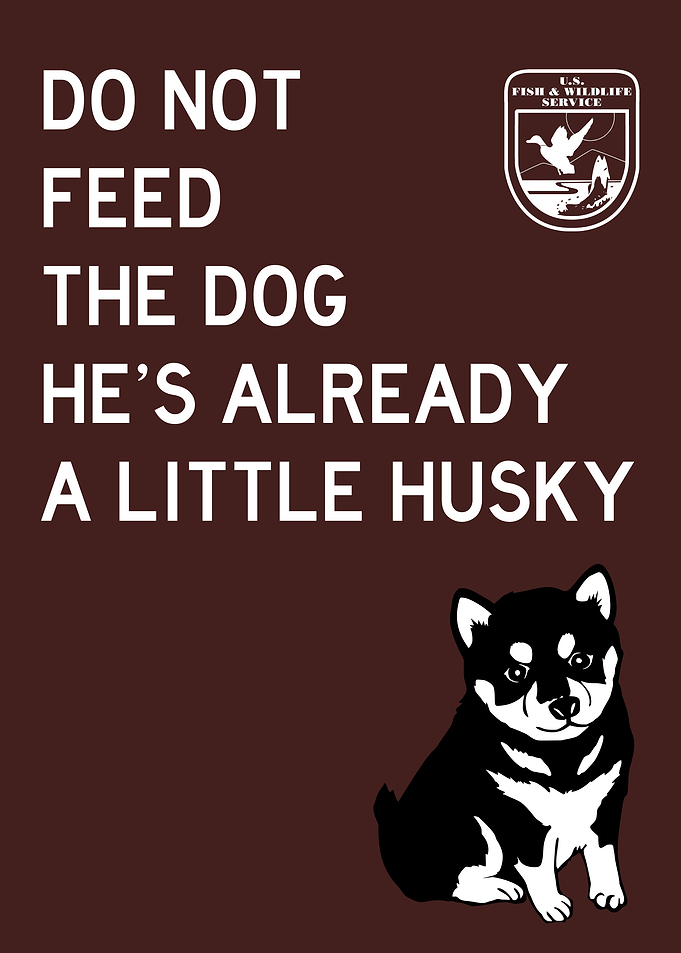 DO NOT FEED HUSKY FUNNY 3