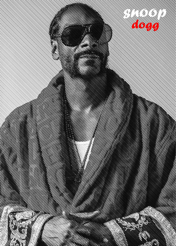 Snoop Dogg Rapper