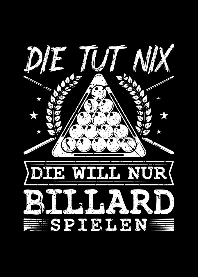 Die Tut Nix Billiard Queue