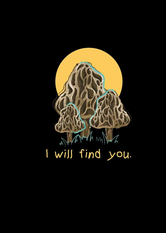 Mushroom Hunting Morel
