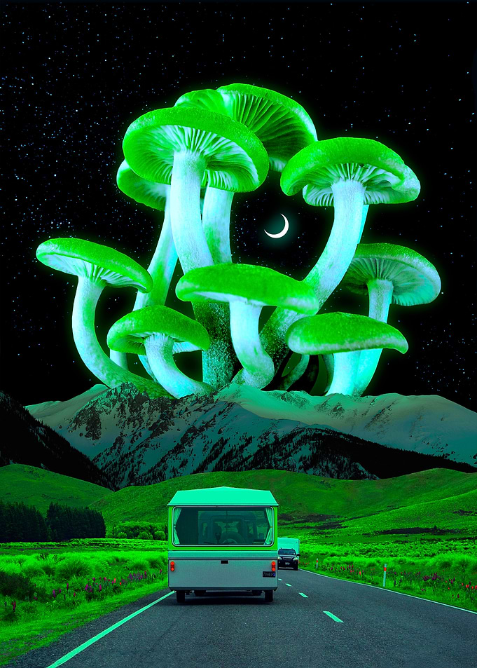 Trippy Route
