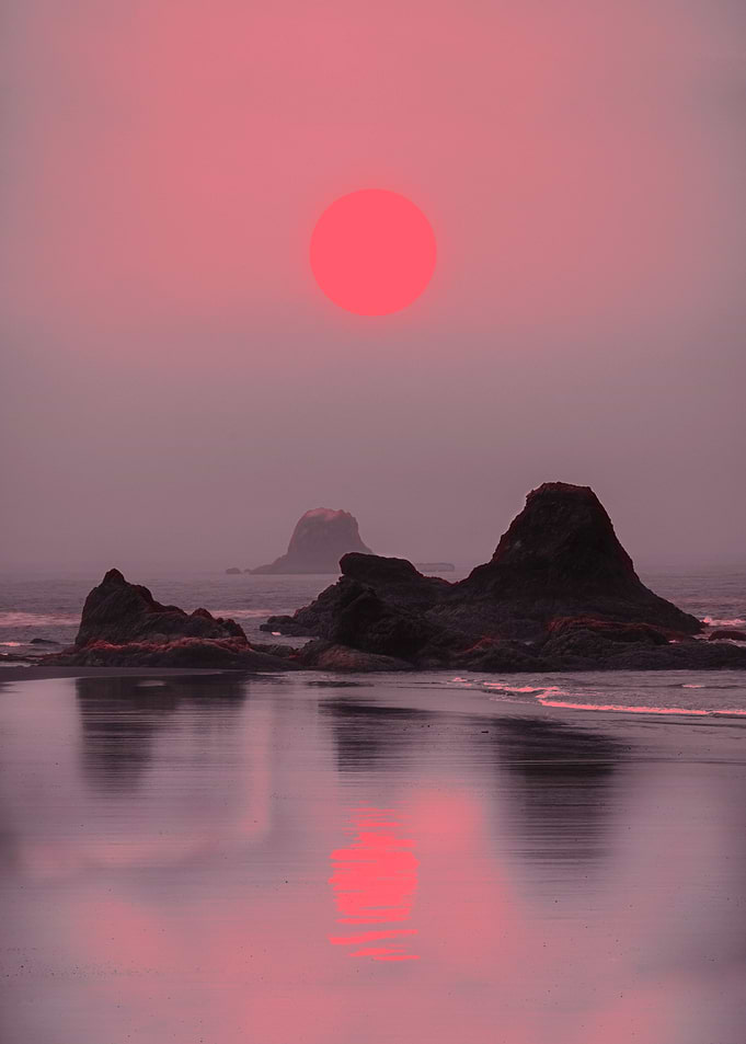 Neon Island