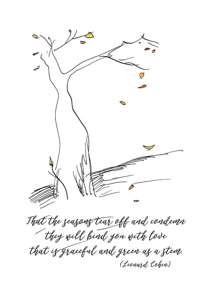 If your life is a leaf
