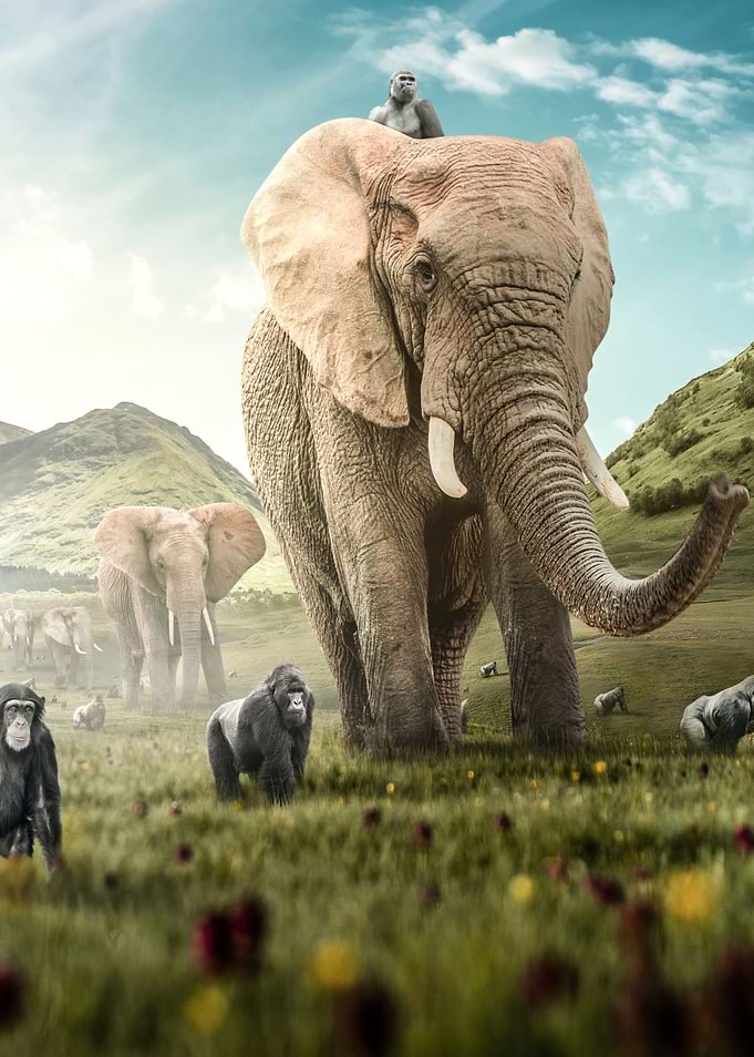 Ancestors