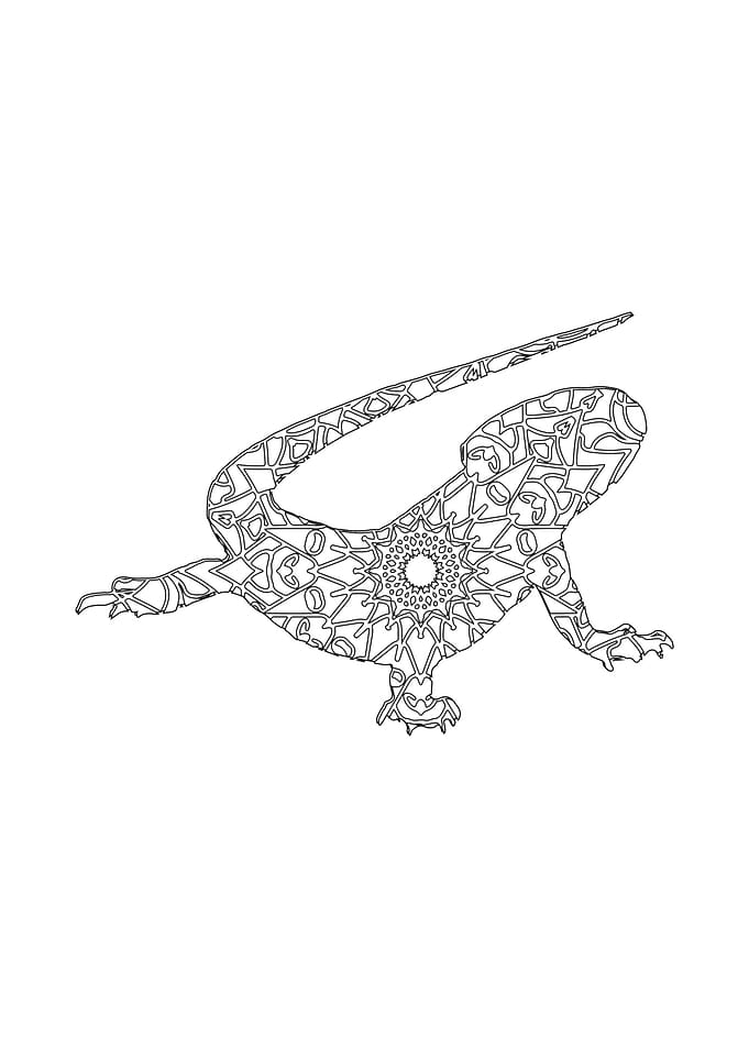 Mandala Bearded dragon