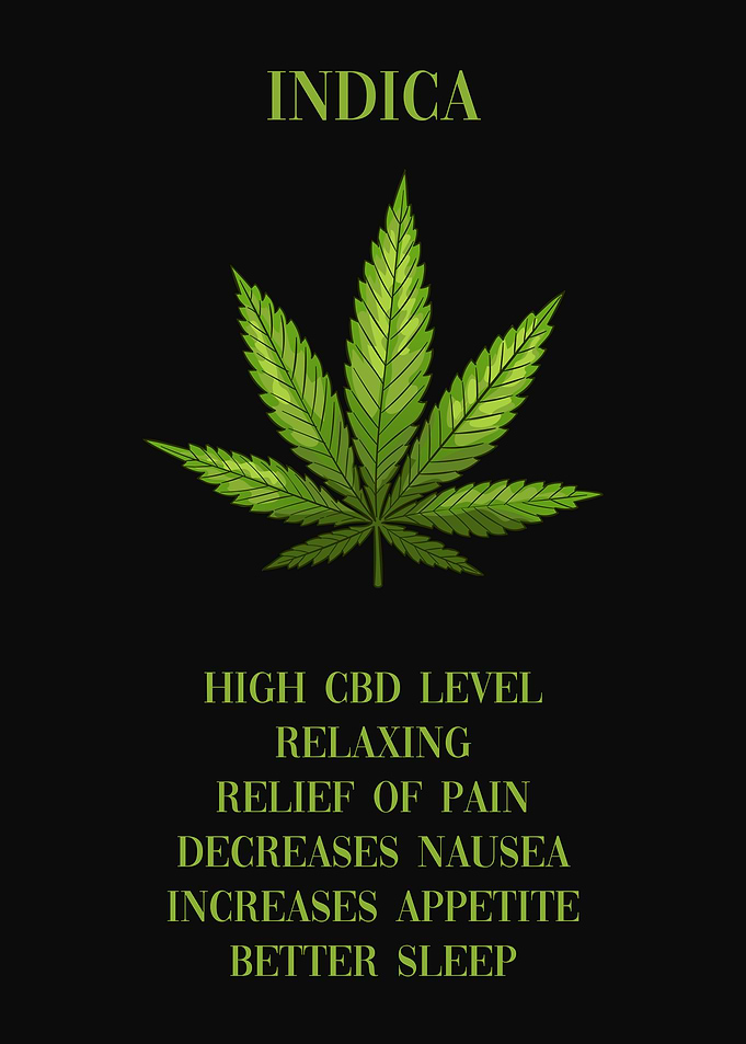 Cannabis Indica Marijuana