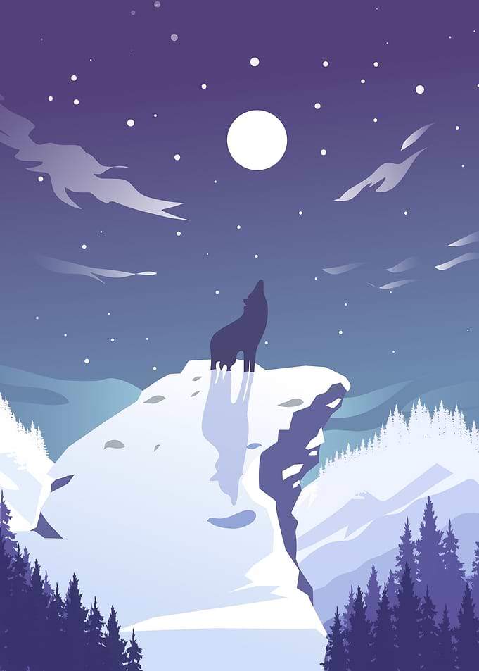 Wolf in the night