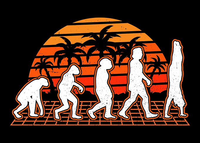 Gymnast Evolution Sunet