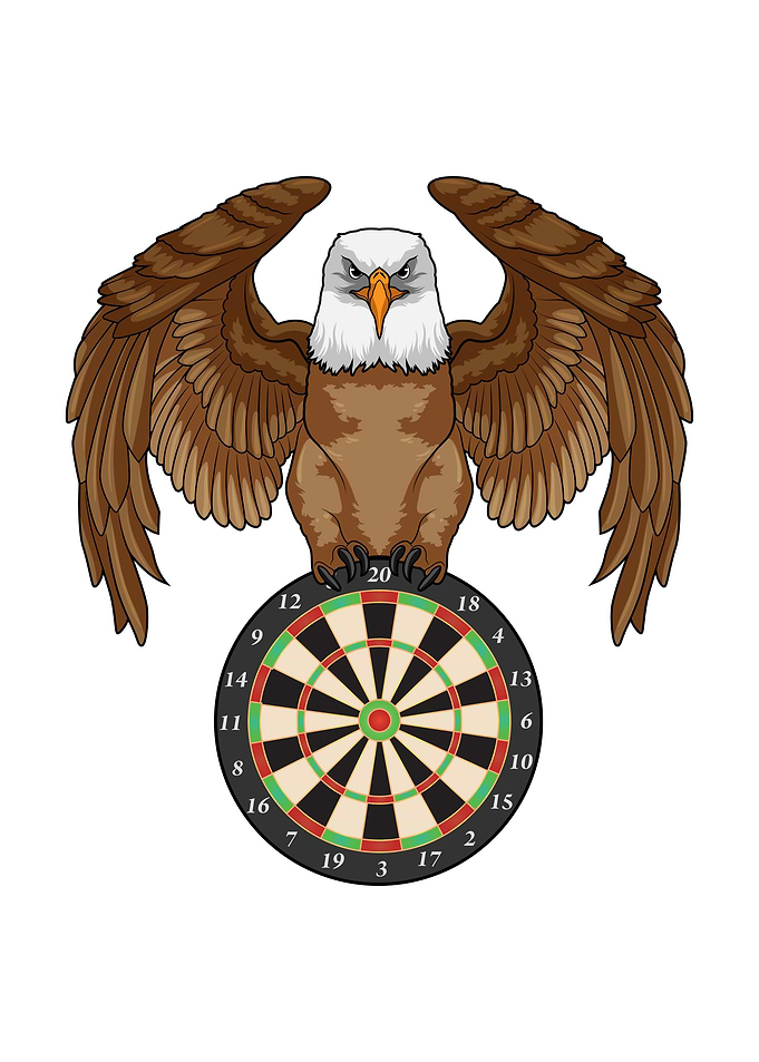 Eagle Darts Dartboard