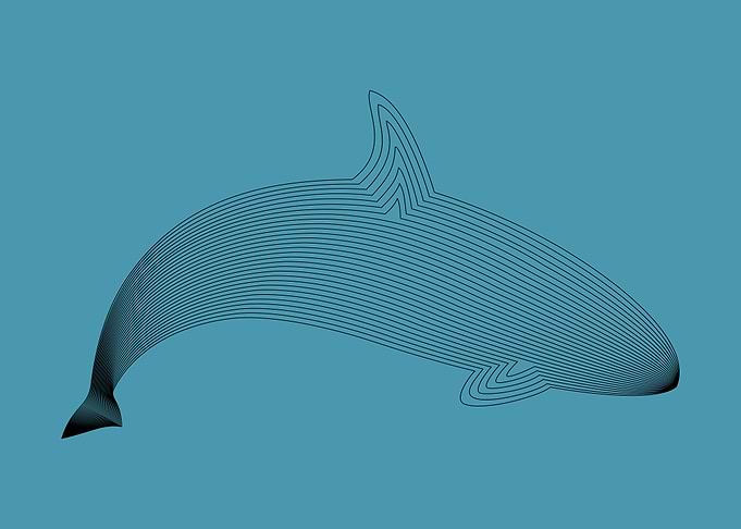 Animale 02