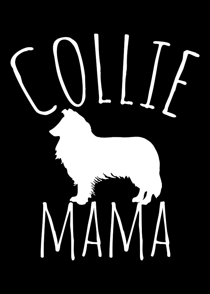 Border Collie Mama Collie