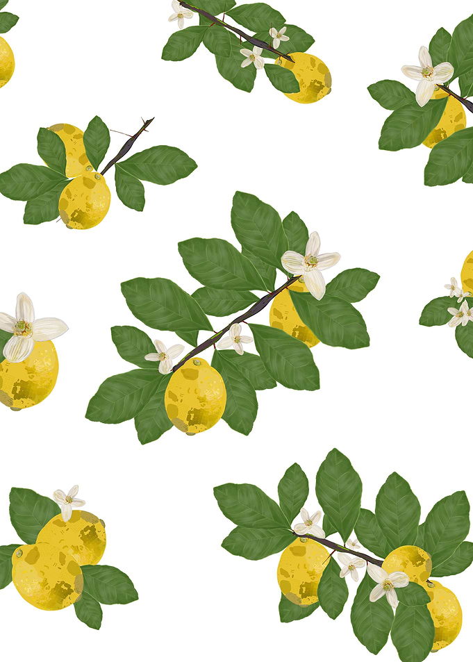 Lemon tree and lemons