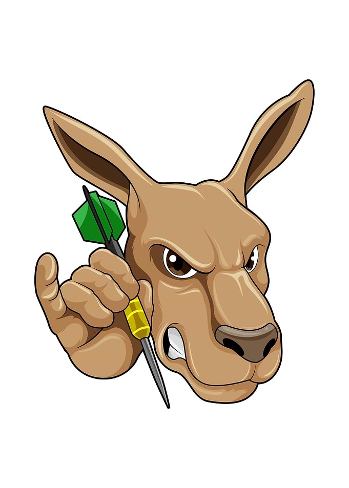 Kangaroo Dart player Darts
