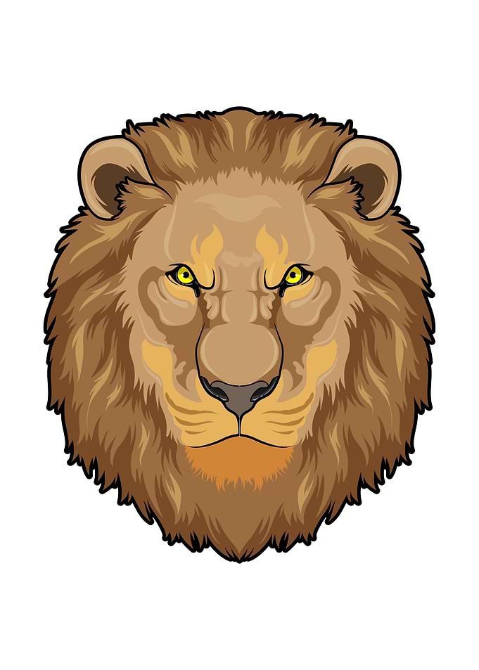 Angry Lion