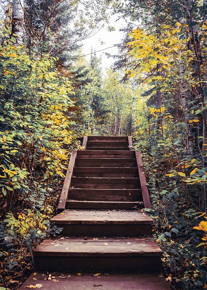 Stairs and Fall Colora