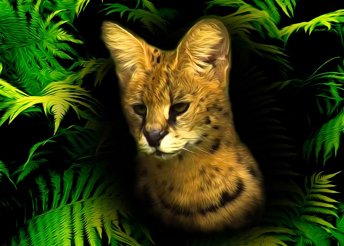 Serval