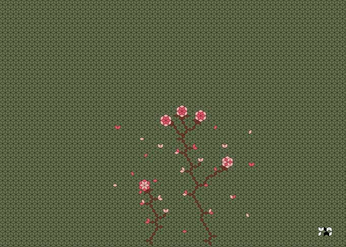 Cherry Blossoms