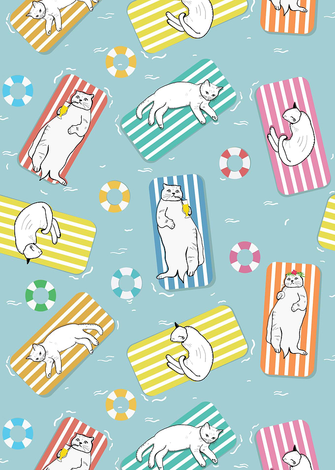 Cats on the sea