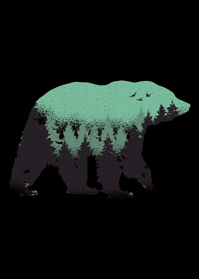 bear forest