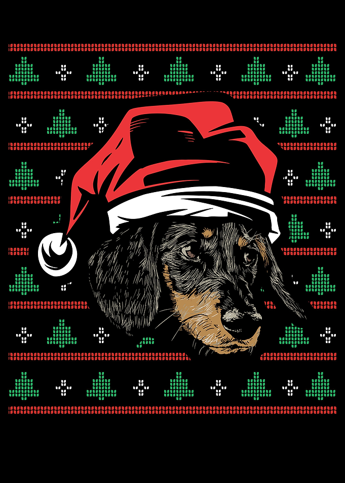 Dachshund