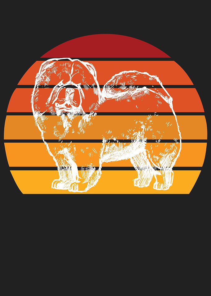 Chow Chow Dog