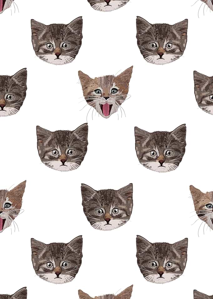 Cute cat head