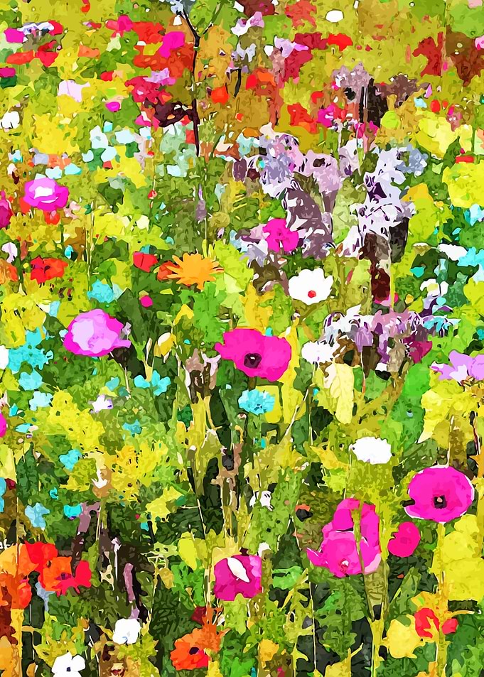 Meadow Flowers