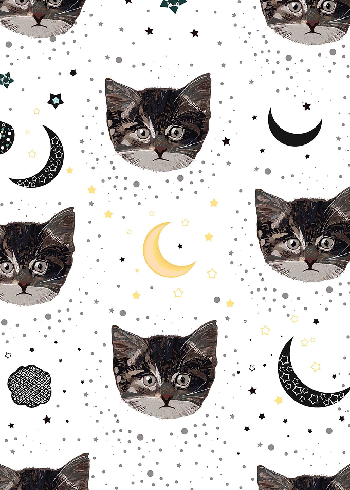 Cats and space