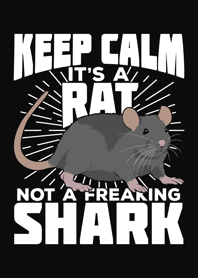 Fancy Rat Animal Lover