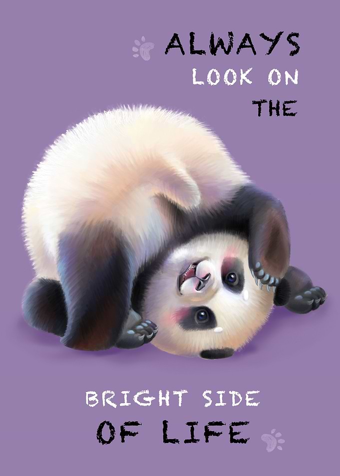little panda