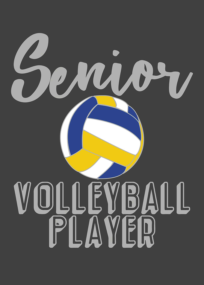 Volleyball BeachVolleyball