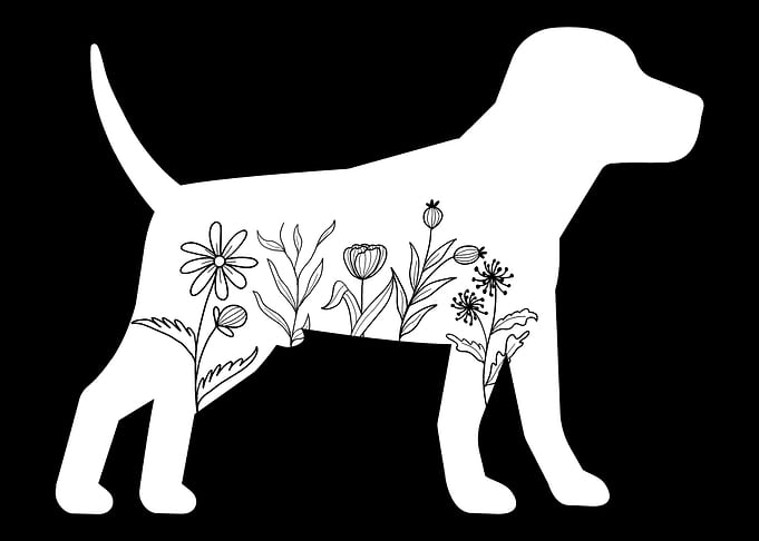 Beagle Flowers Beagle Dog