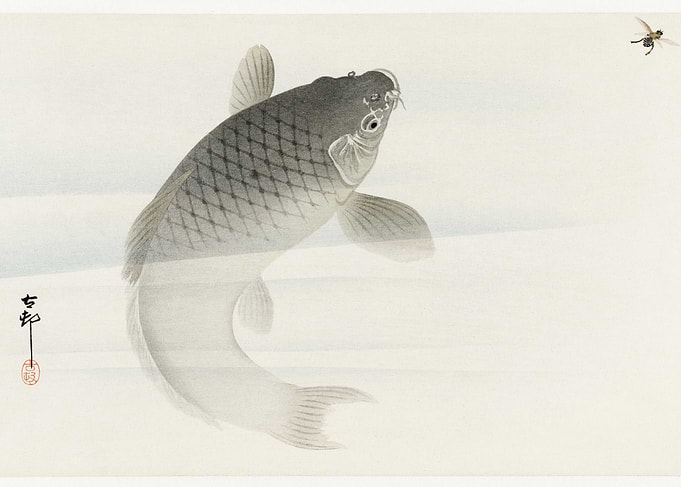 Koi artwork