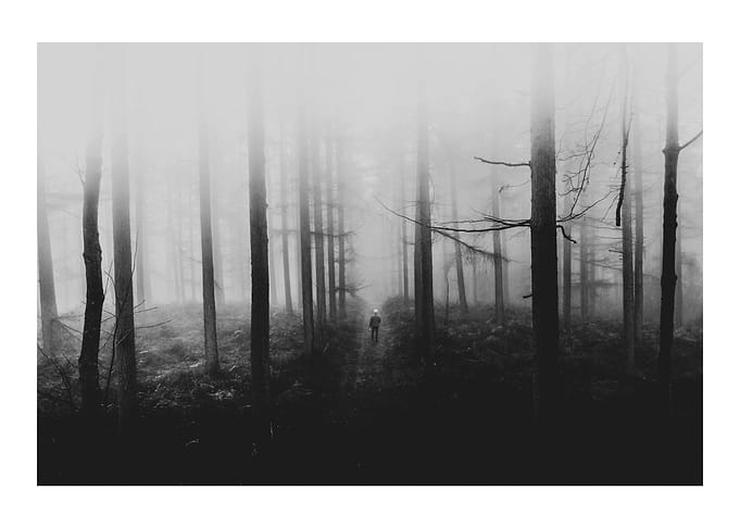 Haunted Forest