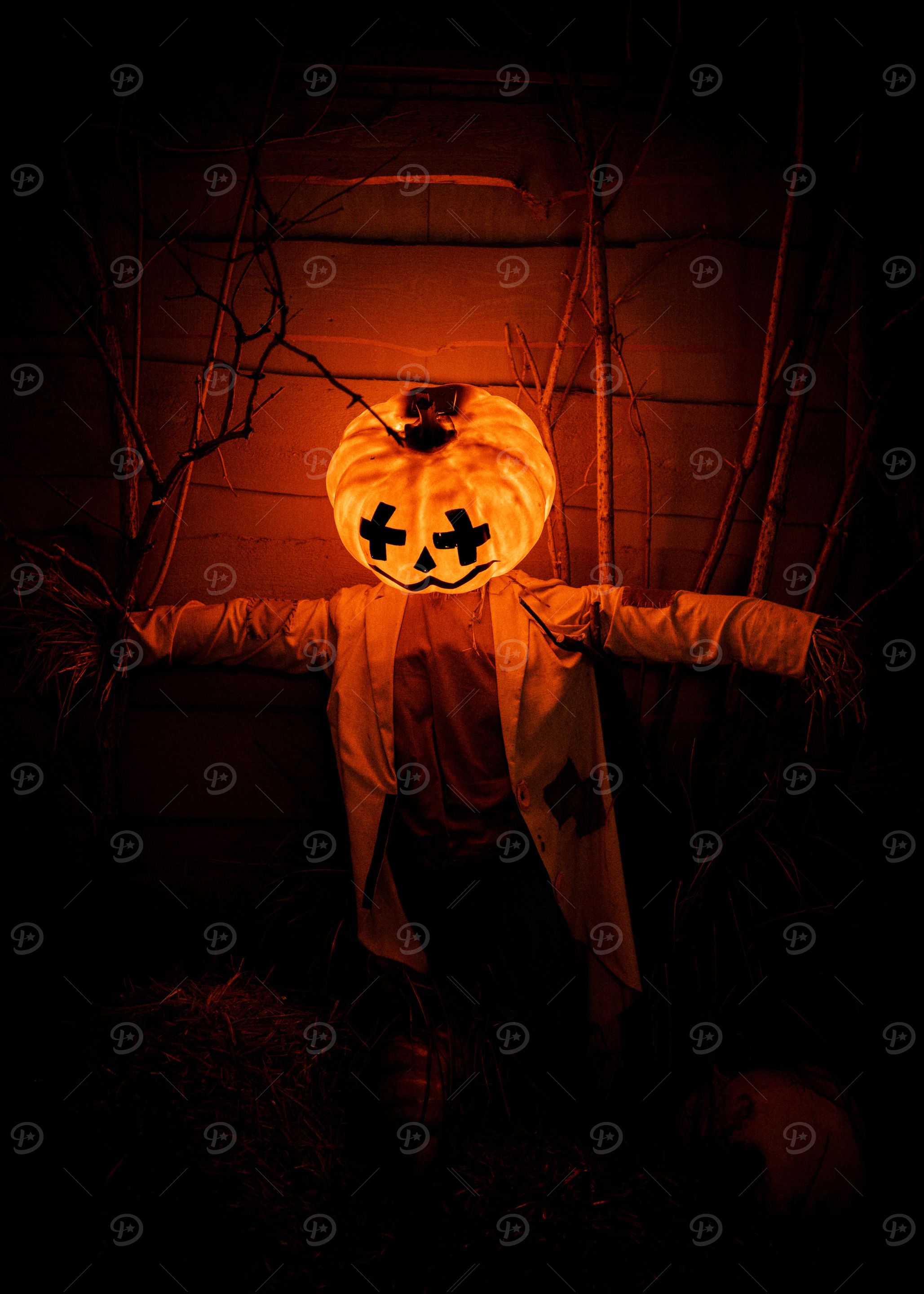 Halloween Scare Crow