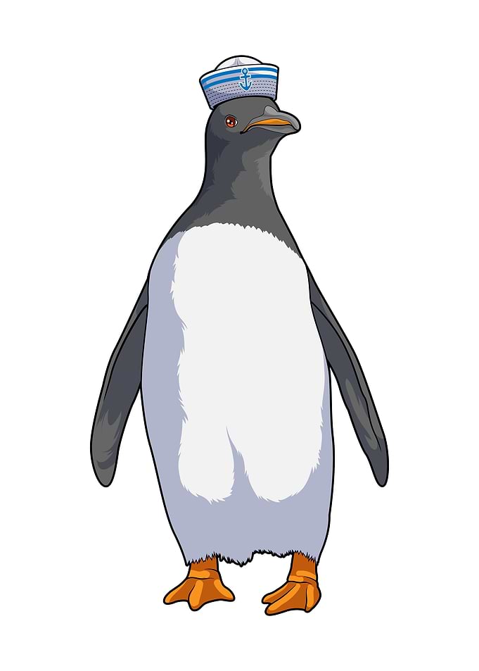 Penguin Sailor Hat