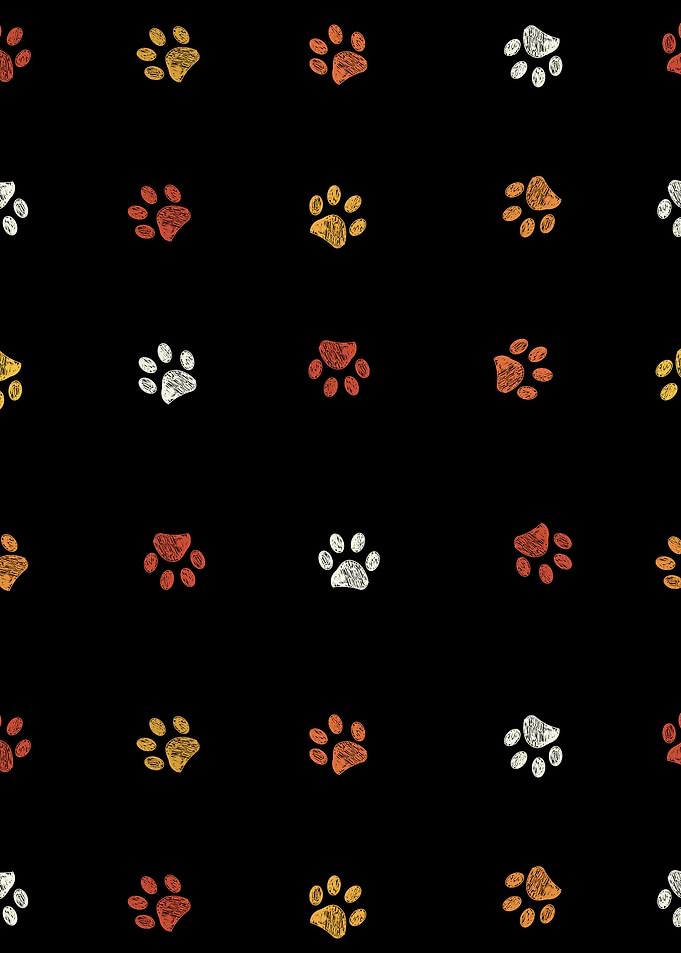 Orange yellow paw pattern