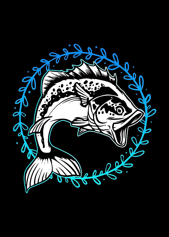 Bass Fishing