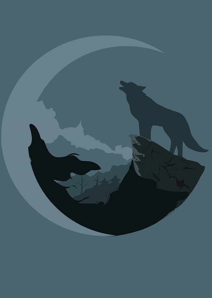 a wolf in mountain hill