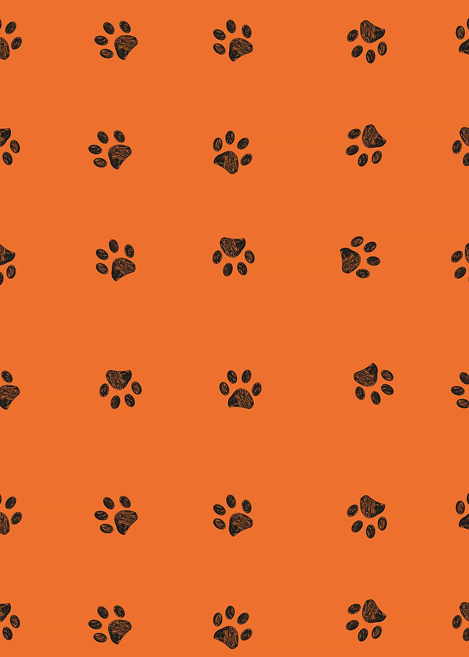 Black doodle paw prints