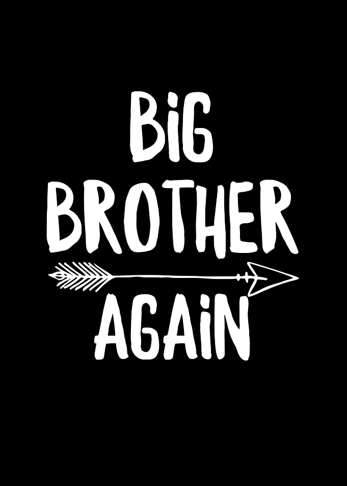 Big Brother Again