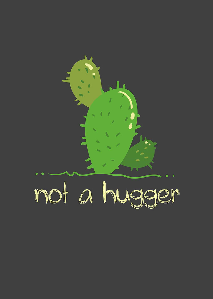 Cactus Sarcastic Hugger