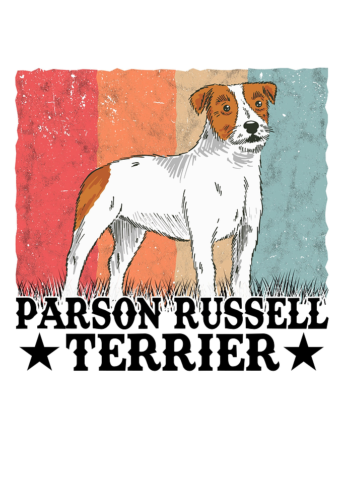 Parson Russell Terrier
