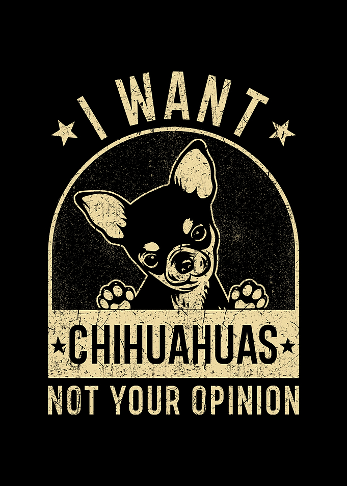 Chihuahua Funny