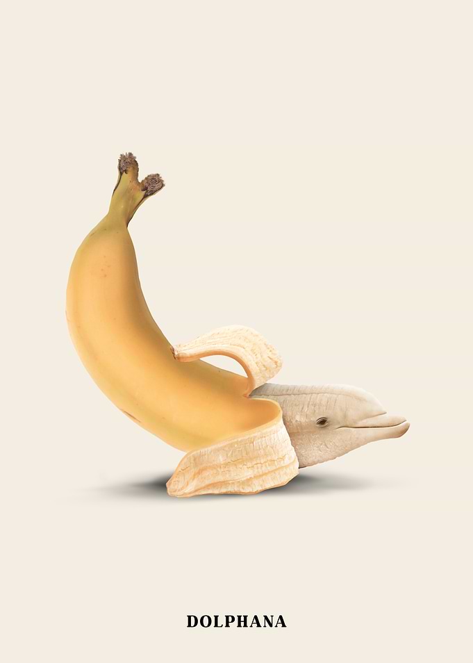 Dolphana