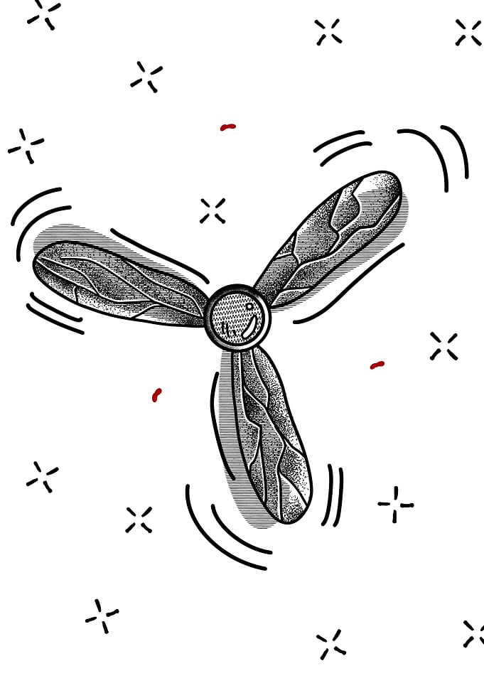 Fan