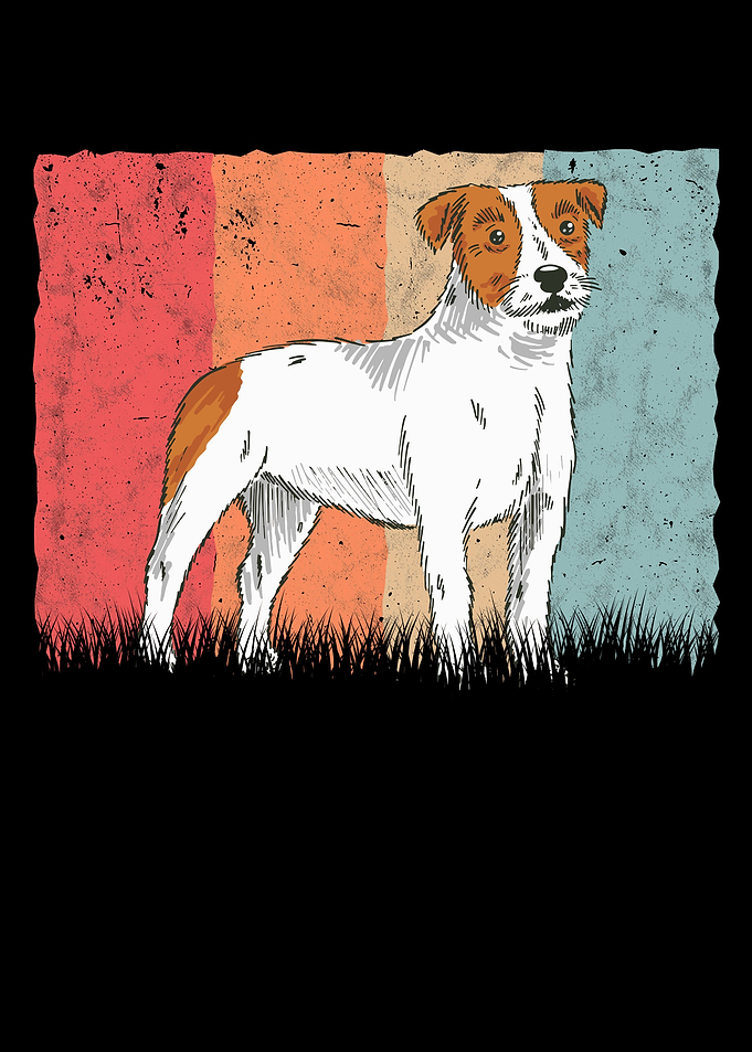 Parson Russell Terrier