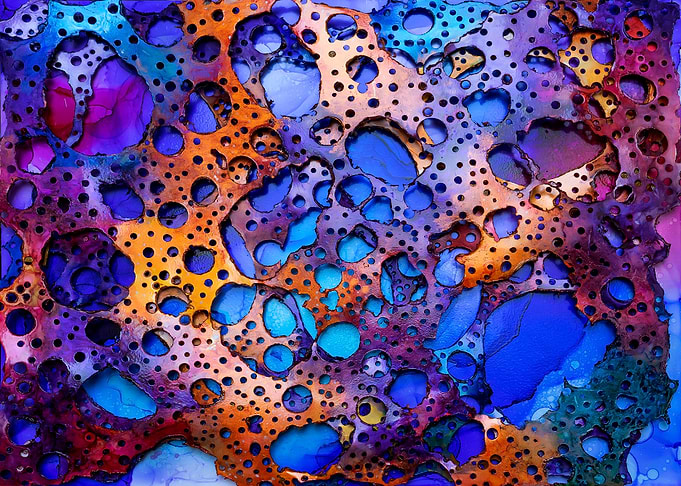 Endless Forms