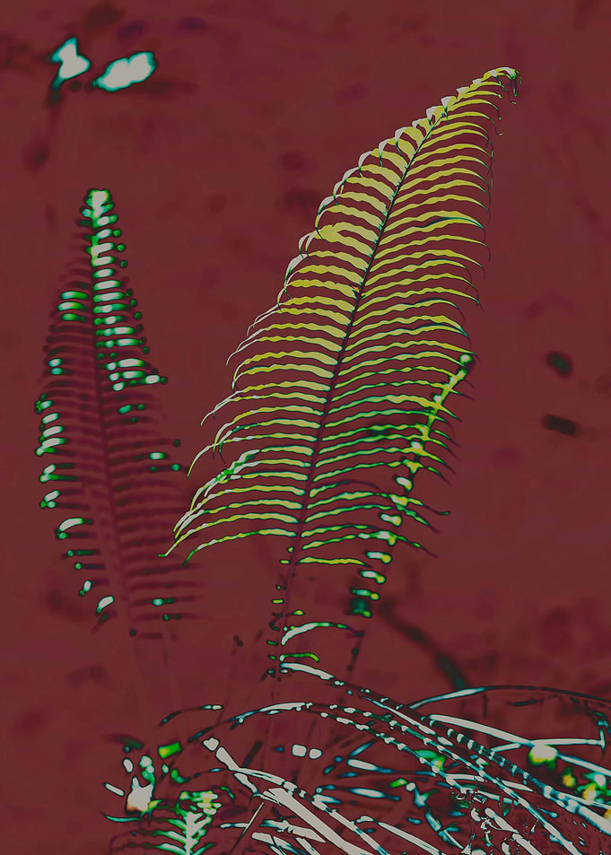 Leaf
