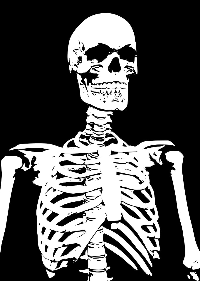 Default Skeleton